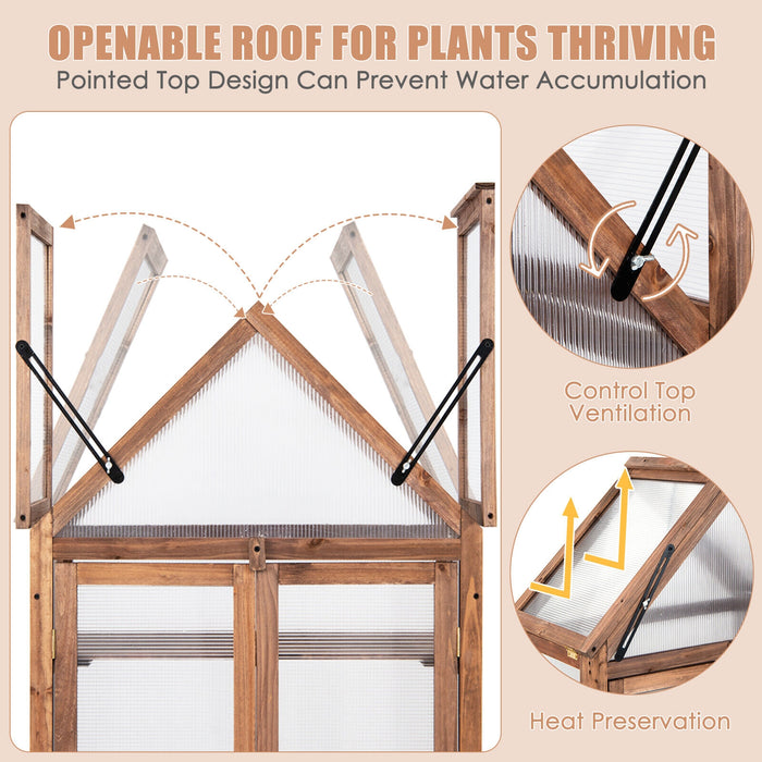 Cold Frame Mini Wooden Greenhouse for Vegetable and Flower-Brown