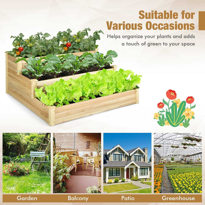 3-Tier Raised Garden Bed Wood Planter Kit for Flower Vegetable Herb