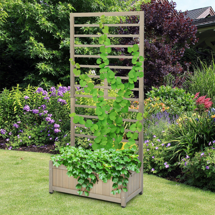 Raised Garden Bed with Trellis for Climbing Plants