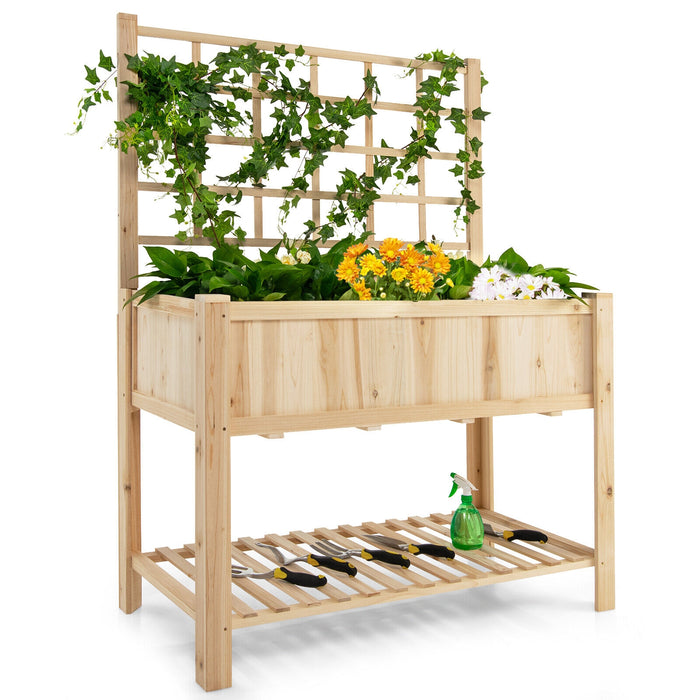 Raised Garden Bed Elevated Wooden Planter Box with Trellis