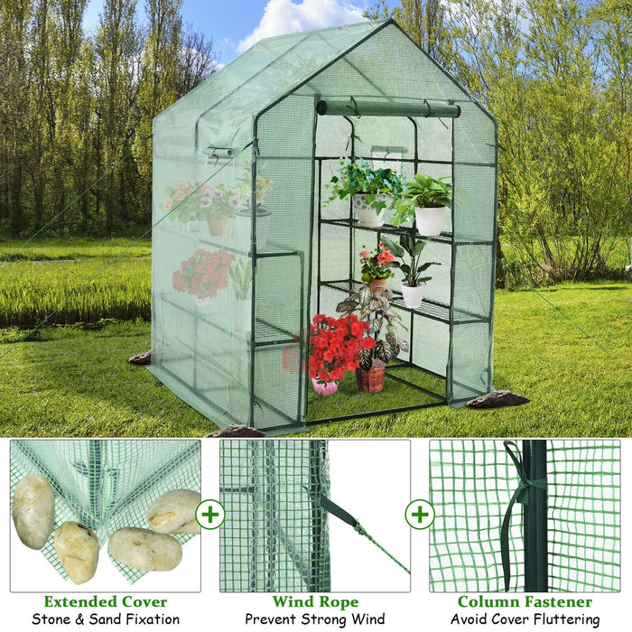 Walk-in Greenhouse 56 x 56 x 77 Inch Gardening with Observation Windows