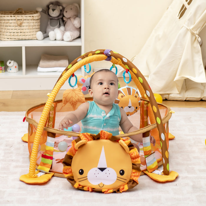 4-in-1 Baby Play Gym with Soft Padding Mat and Arch Design