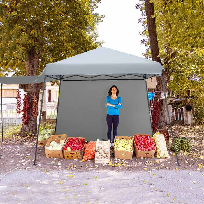 Patio 10x10FT Instant Pop-up Canopy Folding Tent with Sidewalls and Awnings Outdoor-Gray