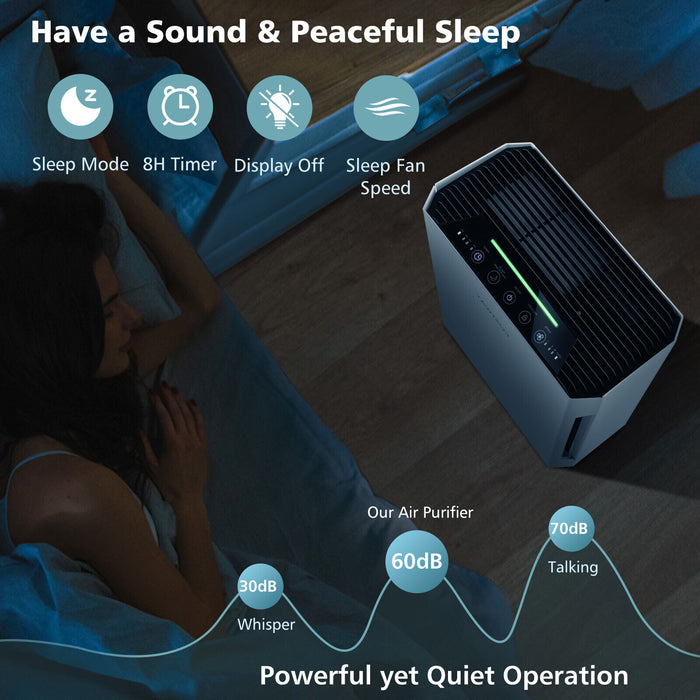 H13 True HEPA Air Purifier with Adjustable Wind Speeds