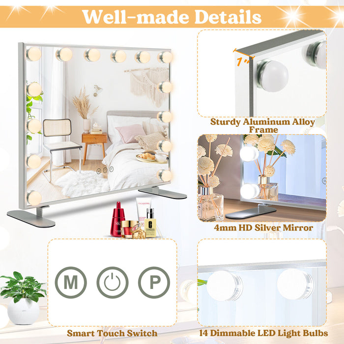 2-in-1 Vanity Mirror with 14 Dimmable LED Bulbs