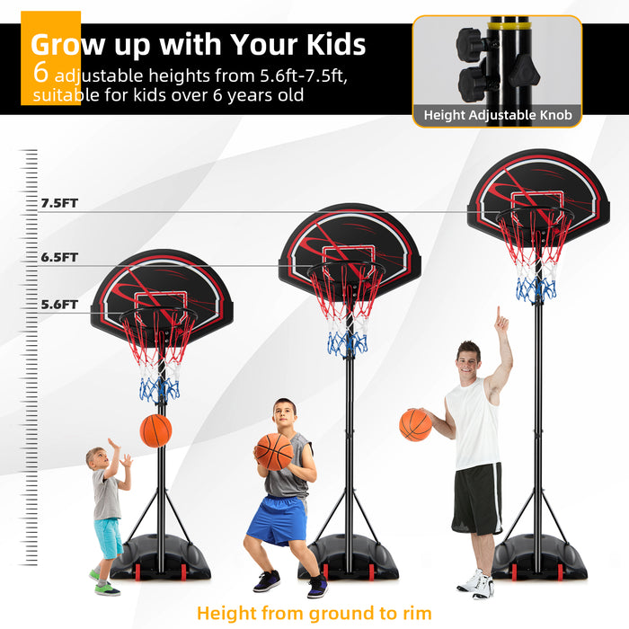 Portable Basketball Hoop Stand with Wheels and 2 Nets