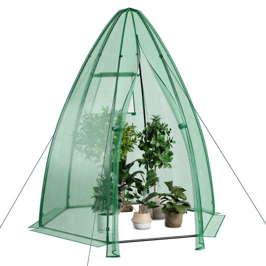 5.5 x 5.5 x 6 Feet Portable Mini Greenhouse with All-Weather PE Cover