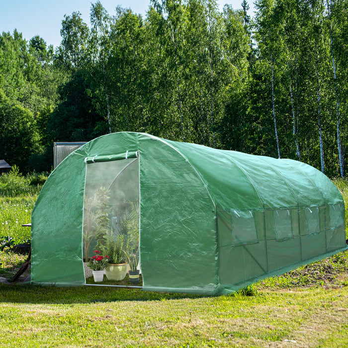 10 x 6.5 x 20 Feet 8 Windows Backyard Walk-in Greenhouse