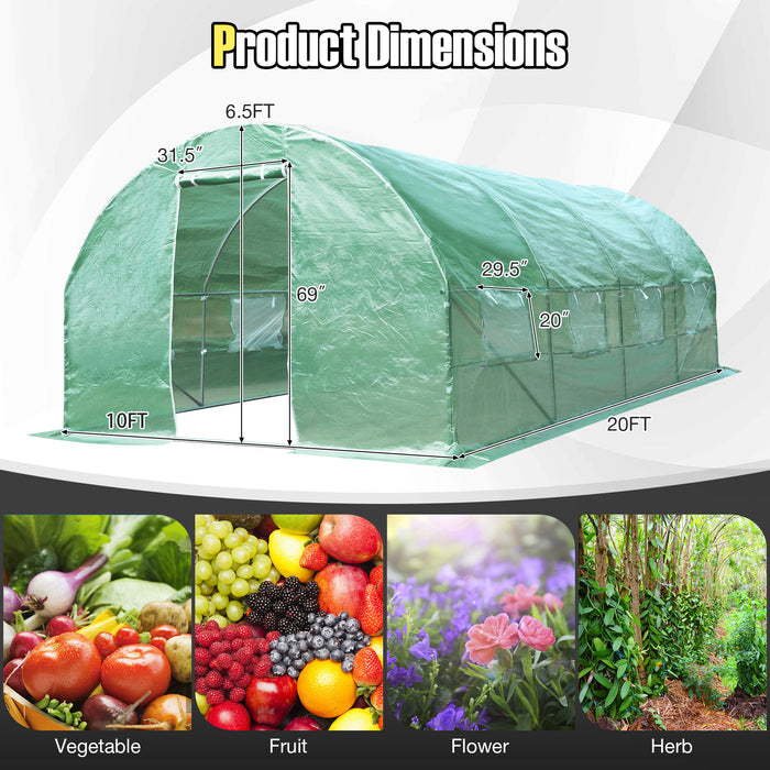 10 x 6.5 x 20 Feet 8 Windows Backyard Walk-in Greenhouse