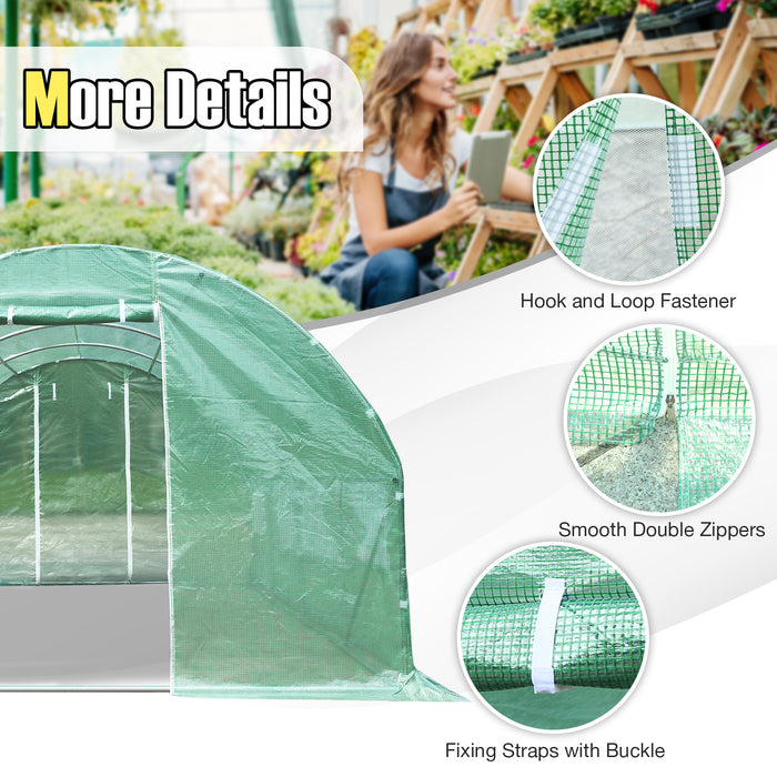 10 x 6.5 x 20 Feet 8 Windows Backyard Walk-in Greenhouse