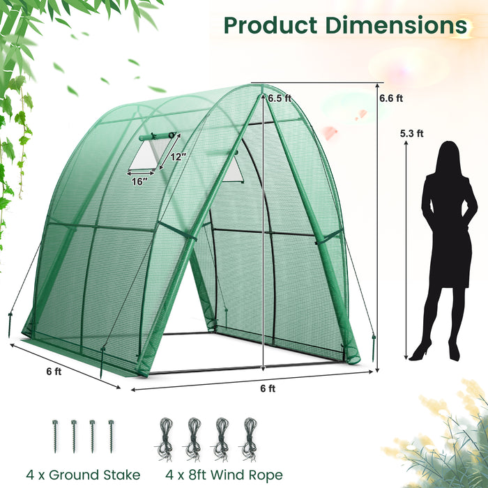 6 x 6 x 6.6 FT Outdoor Wall-in Tunnel Greenhouse-Green