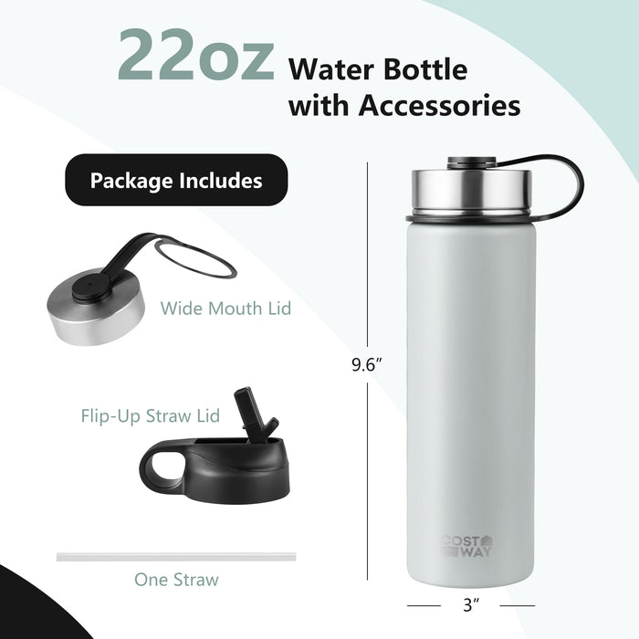 22 Oz Double-walled Insulated Stainless Steel Water Bottle with 2 Lids and Straw-Gray