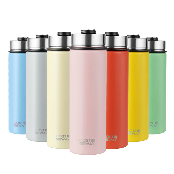 22 Oz Double-walled Insulated Stainless Steel Water Bottle with 2 Lids and Straw-Gray