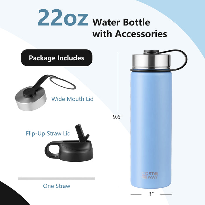 22 Oz Double-walled Insulated Stainless Steel Water Bottle with 2 Lids and Straw-Blue