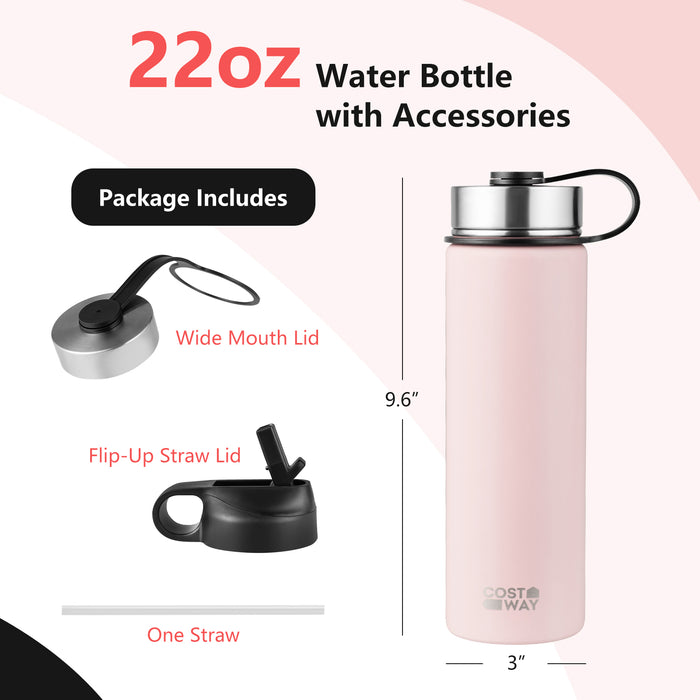 22 Oz Double-walled Insulated Stainless Steel Water Bottle with 2 Lids and Straw-Pink