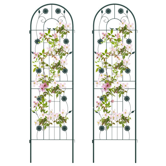 2 Pack 71 x 20 Inch Metal Garden Trellis Rustproof Plant Support for Climbing Plants-Green