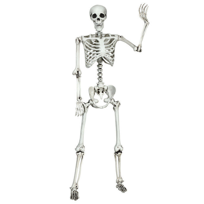 5.4 Feet Halloween Skeleton Life Size Realistic Full Body Hanging