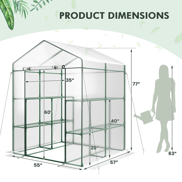 Walk-in Greenhouse with 3 Tiers 8 Shelves PVC Cover Roll-up Zippered Door