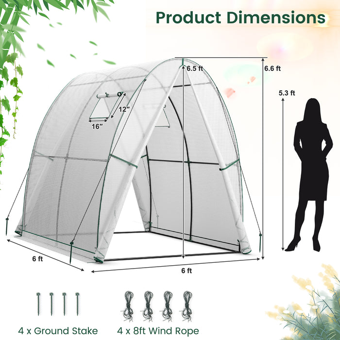 6 x 6 x 6.6 FT Outdoor Wall-in Tunnel Greenhouse-White