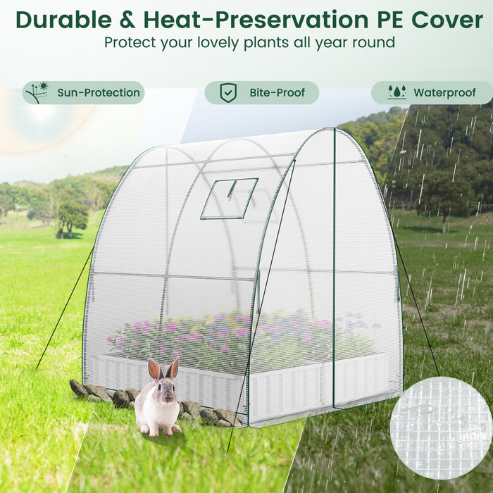 6 x 6 x 6.6 FT Outdoor Wall-in Tunnel Greenhouse-White